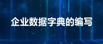 如何完成一本企业数据字典的编写？