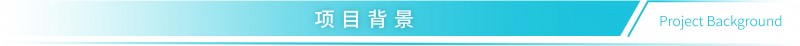 标题-项目背景@4x-80
