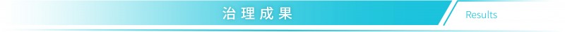 标题-治理成果@4x-80