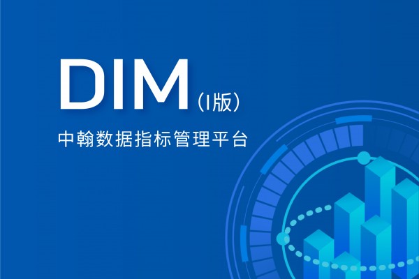 中翰数据指标管理平台（I版）—中翰DIM