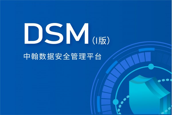中翰数据安全管理平台（I版）—中翰DSM