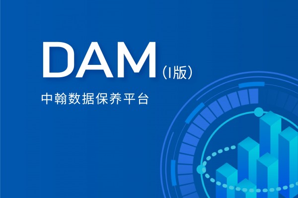 中翰数据评估监测平台（I版）—中翰DAM