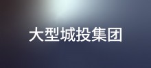 行业案例—大型城投集团